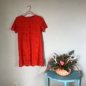🌸EUC🌸 Zara Basic Orange Lace Shift Dress